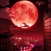 红月