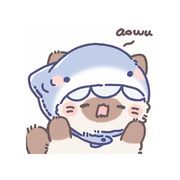 爱涵涵