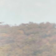 曦