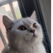 果冻美食家๓º