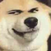 手机用户68706877