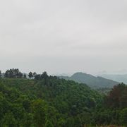 不吃芹菜呀awa