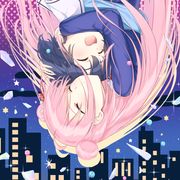 猫猫小喵咪先生