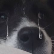 落雨