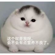 不吃压力