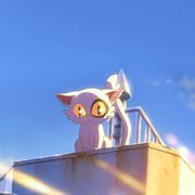 企鹅在修行（许愿寒晶陨铁）