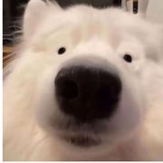处处随和性