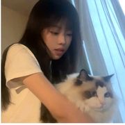 椰果