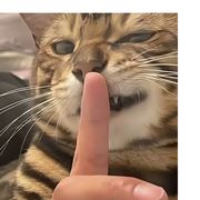 我的宝宝
