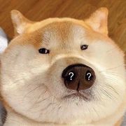 杰尼龟