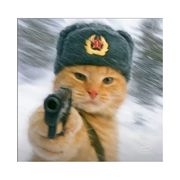 悠游白书