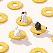 偷猪꒲⌯ ू(ꆧ⚇̭ꆧ ूˆ)