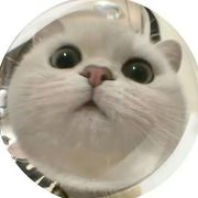 Maxnoex