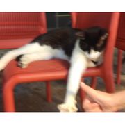 手机用户101658561