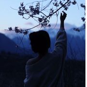 独留浅笑成落花