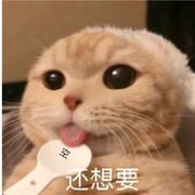 番豆花园陈壮壮