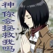 一般路过尘某人