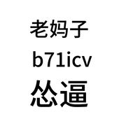 断尾猫