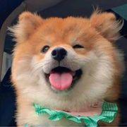 丨