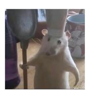 [