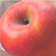 给你一个大比窦