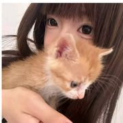 悲伤Hitty猫