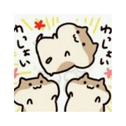 龟龟