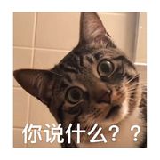狂拽酷炫龙傲天