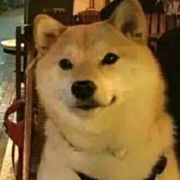 我😭