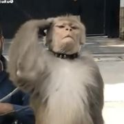 佚--人