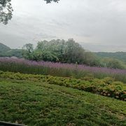 赖博拉罗斯啤酒