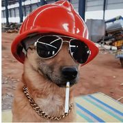 猛踹瘸子那条好腿