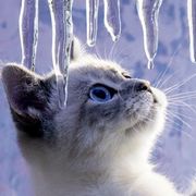 风云墨舞一仞寒