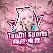 桃枝电竞