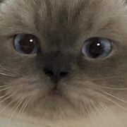 風の住む街