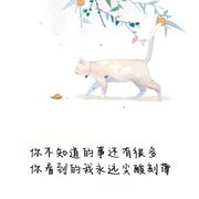 静静呐