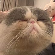 我
