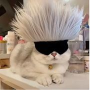 乐高无限香肠派对终极粉丝