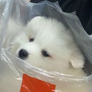 纸盒
