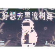啊啊啊我的卫戍