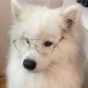 桃影掠江
