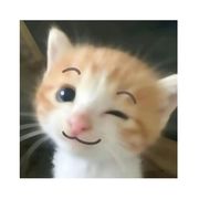 一命二运三风水