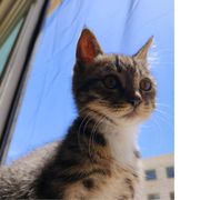 wyx是我的小可爱啊