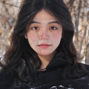 小小海豚