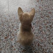 空间无限