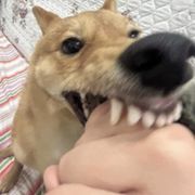 忧忧郁郁的忧郁