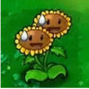 理塘鸡汤特级厨师穿山甲