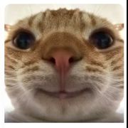 User70031731