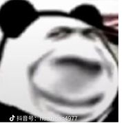 泉哥的快乐生活