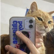 Emotionaldamage